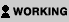 Working in NZ